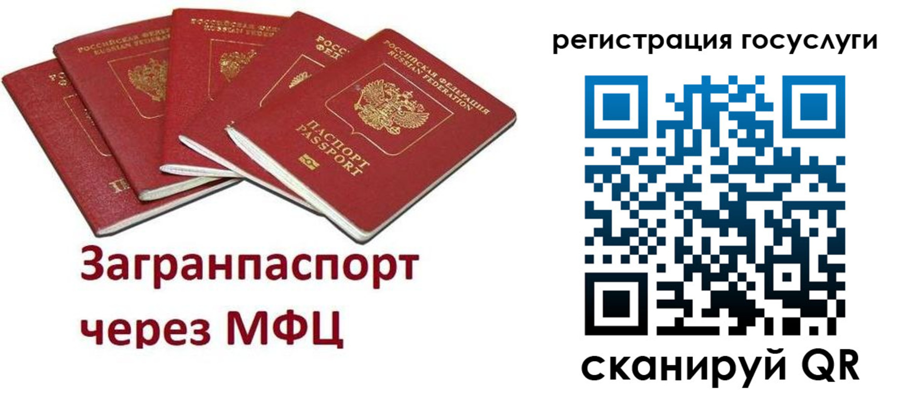 прописка 2025 в Дмитрове